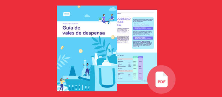 Thumbnail guía de vales de despensa